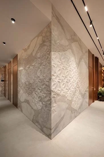 An elegant hallway showcasing a sleek marble wall and a traditional wooden door, highlighting a sophisticated design.